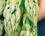 Flagler Fruits_Jan2016 Flagler Fruits_Jan2016
