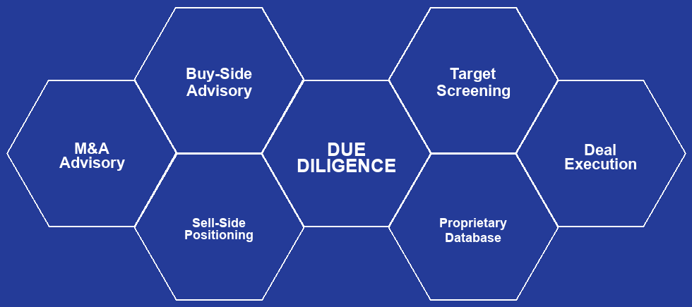 Due Diligence Services